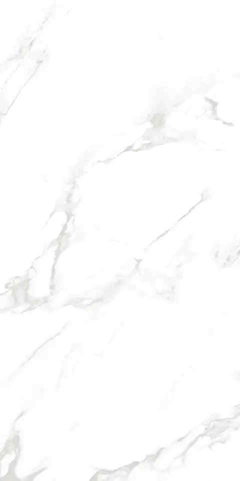 SMOKE WHITE SILK view 2